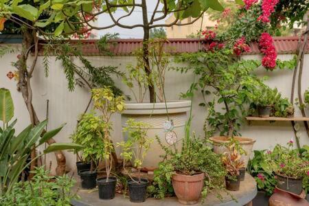 Eden Garden Villa By Jadecaps Nr Mg Road Garden Бангалор Экстерьер фото