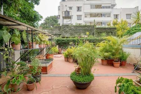 Eden Garden Villa By Jadecaps Nr Mg Road Garden Бангалор Экстерьер фото